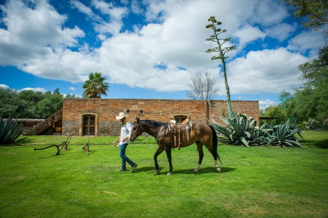 Hacienda Sepulveda Hotel & Spa (Adults Only) ลากอส เด โมเรโน ภายนอก รูปภาพ